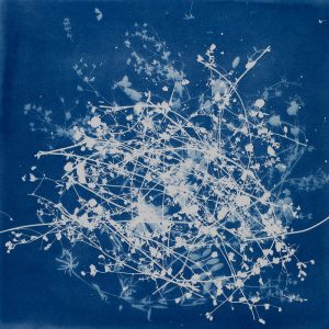 Adeline Biffard